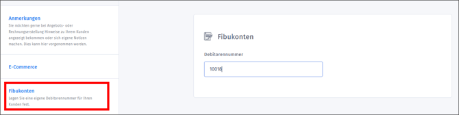 Gezeigt wird der Abschnitt FiBukonten in der Kundenbearbeitung