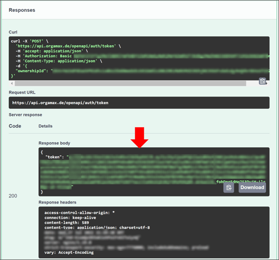 Eigene Erweiterungen - API autorisieren Token kopieren